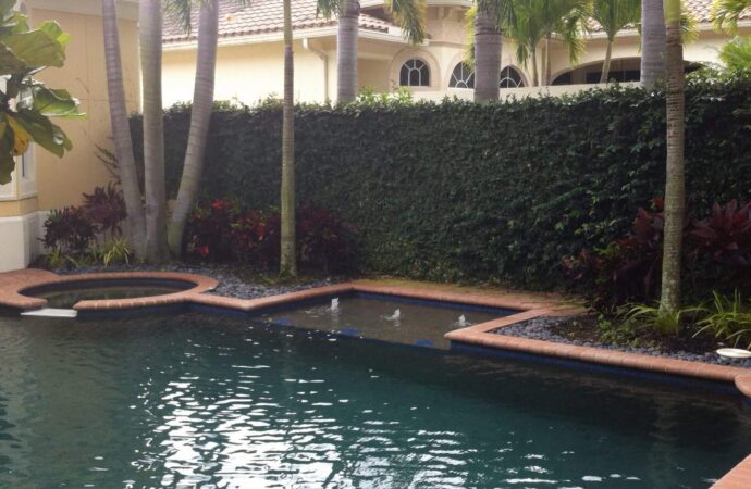 Natural Pools & Spas-SoFlo Pool and Spa Builders of Wellington