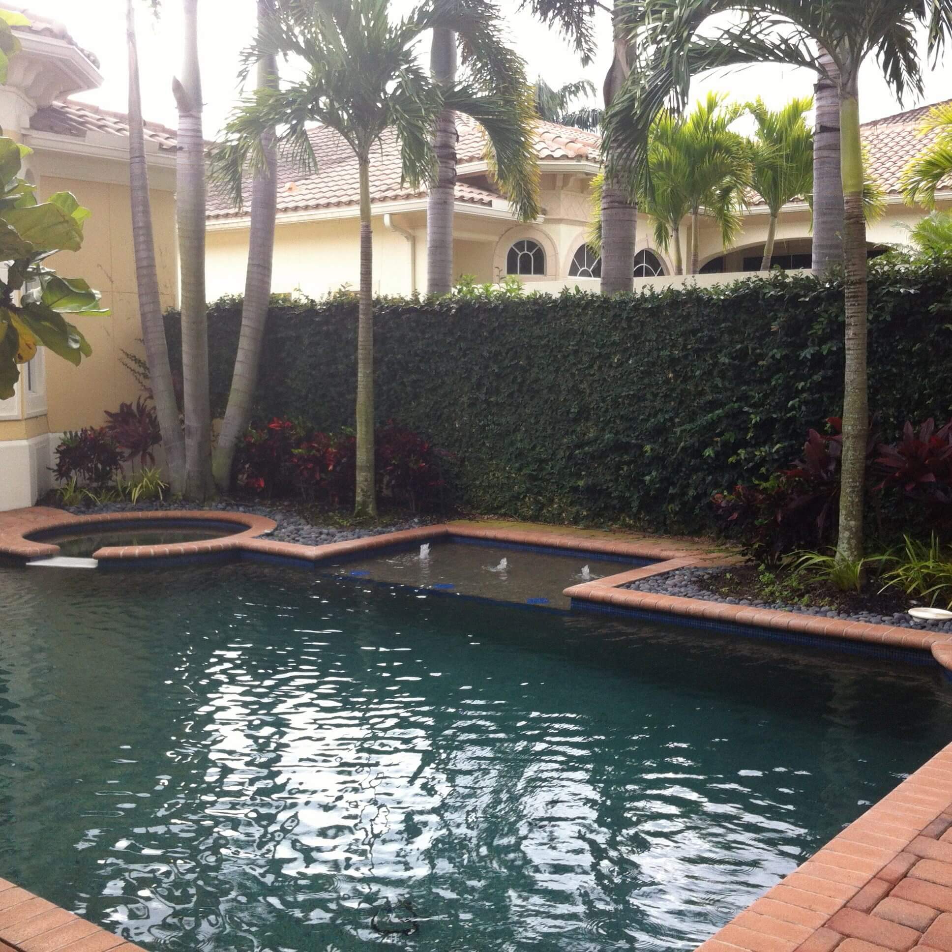Natural Pools & Spas-SoFlo Pool and Spa Builders of Wellington